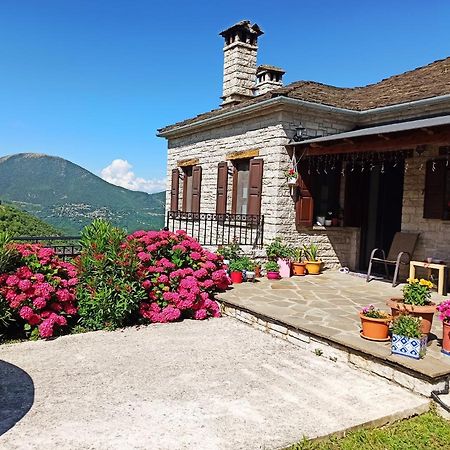 Hotel Foris House à Víkos Extérieur photo