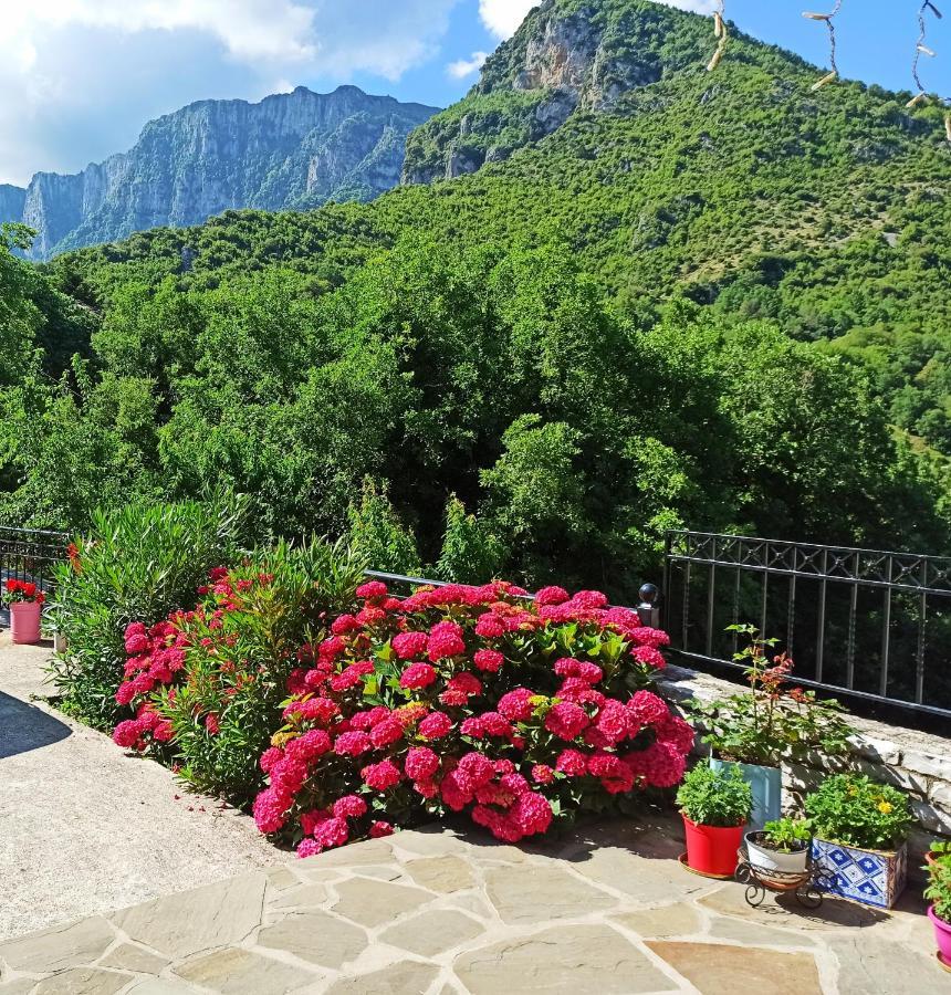 Hotel Foris House à Víkos Extérieur photo