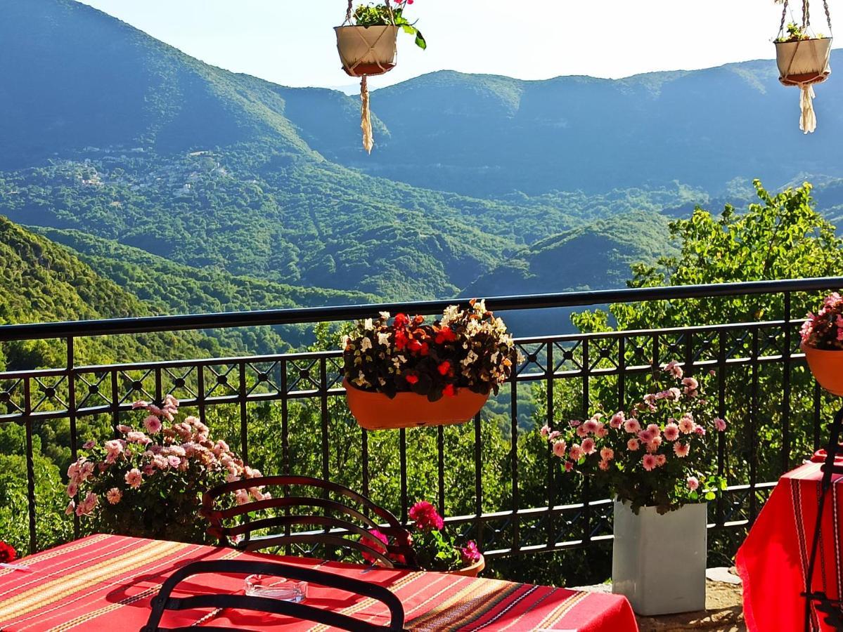 Hotel Foris House à Víkos Extérieur photo